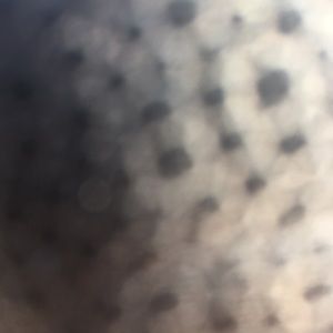 Meet your Posher, Bret